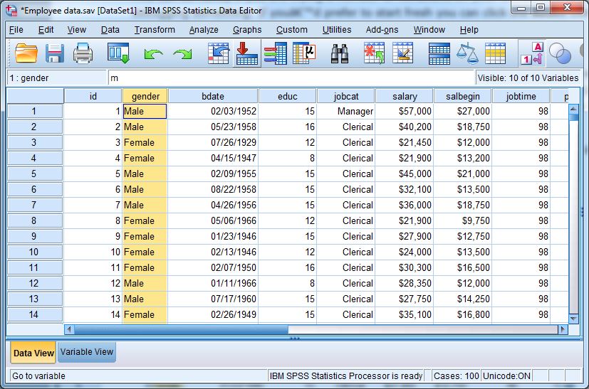 SPSS For The Classroom The Basics